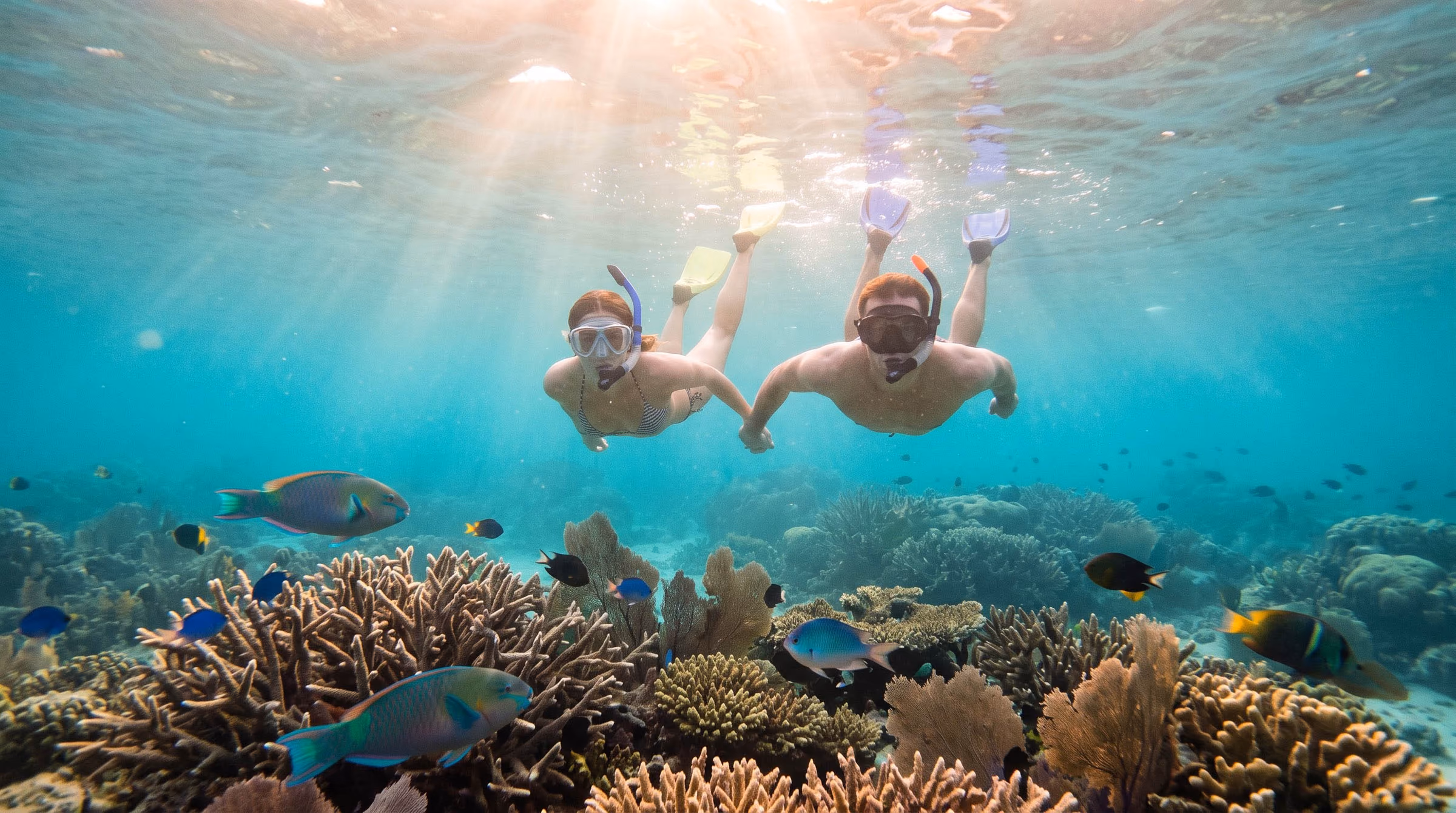 Bora Bora Lagoon Overwater Bungalow & Coral Safari